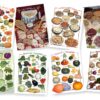Posters de Alimentos Naturales (9x12) - Variedad - juego Completo de 8