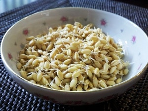 The Benefits Of Sprouting Your Food